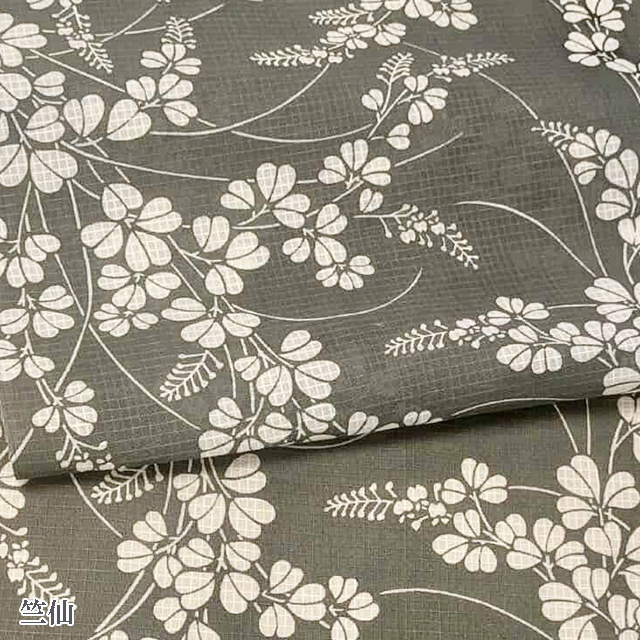 夏きもの ときどき 浴衣