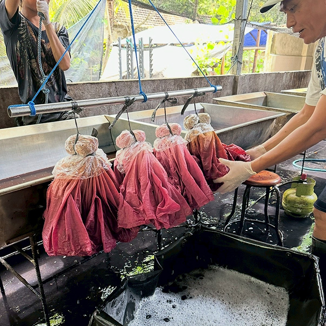 バリの宝さがし