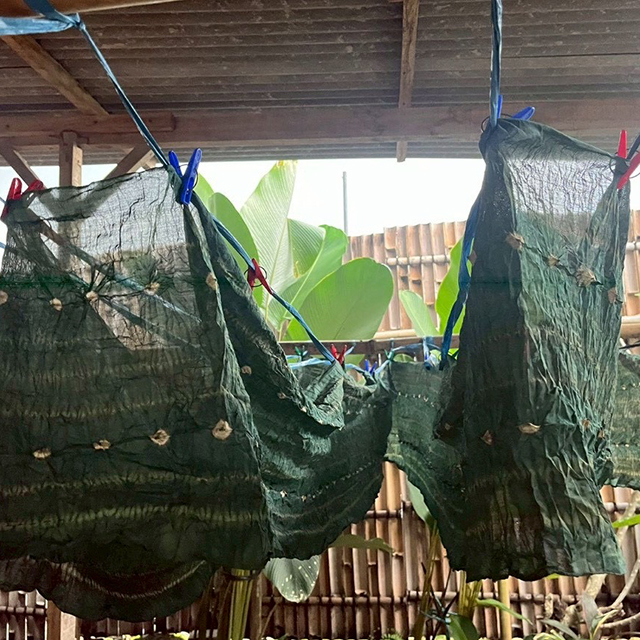 バリの宝さがし