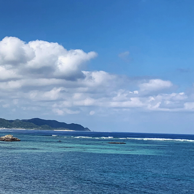 minamina ～奄美大島きもの～